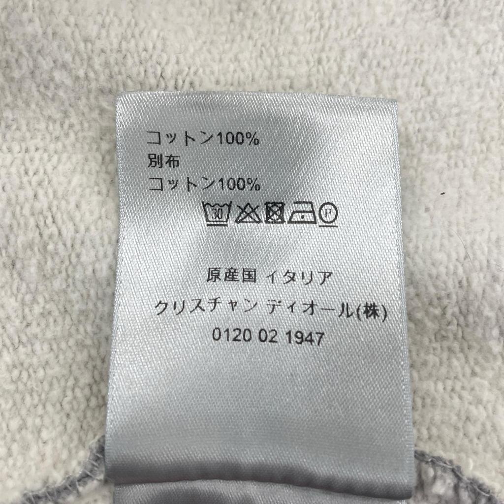 Dior XS MENS CD Icon Hoodie gray Model K4311