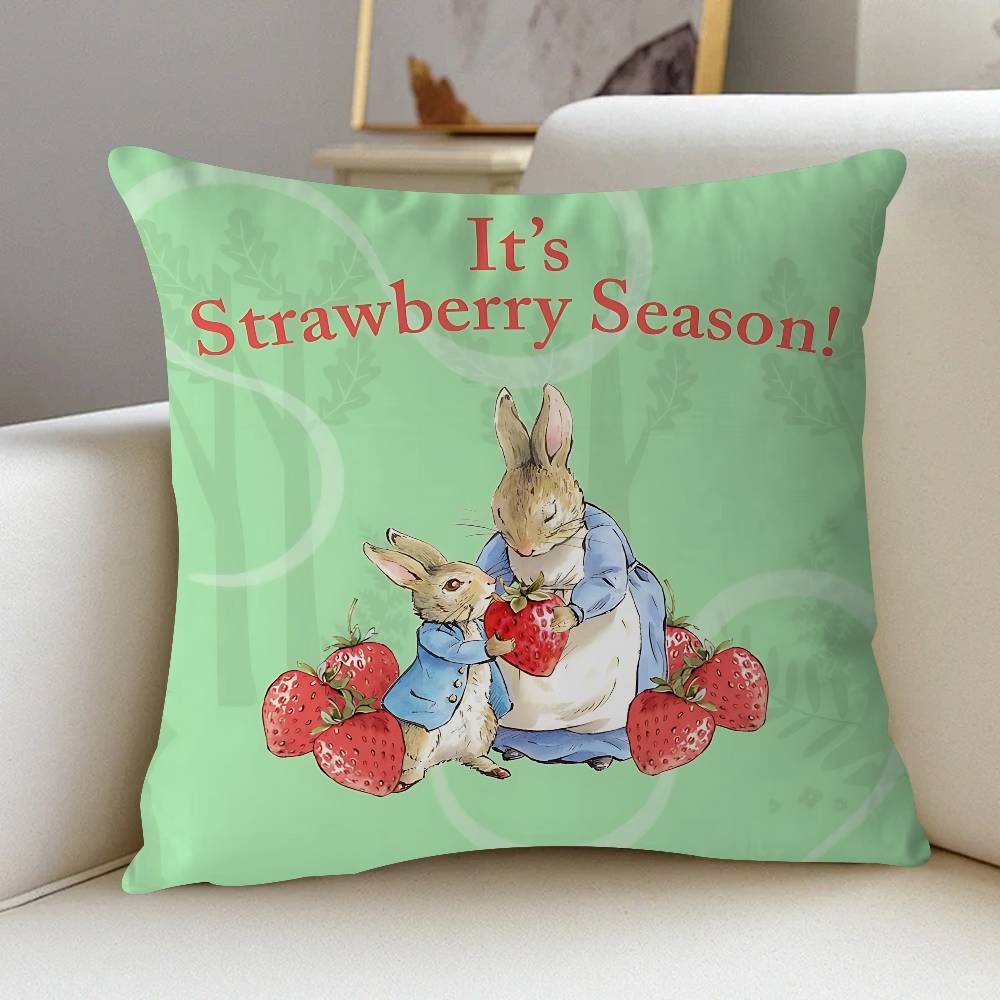 

Anime Peter Rabbit Cushion Cover Pillowcase Upholstery Sofa Throw Pillow Home Decor Pillowcas 12x12Inch