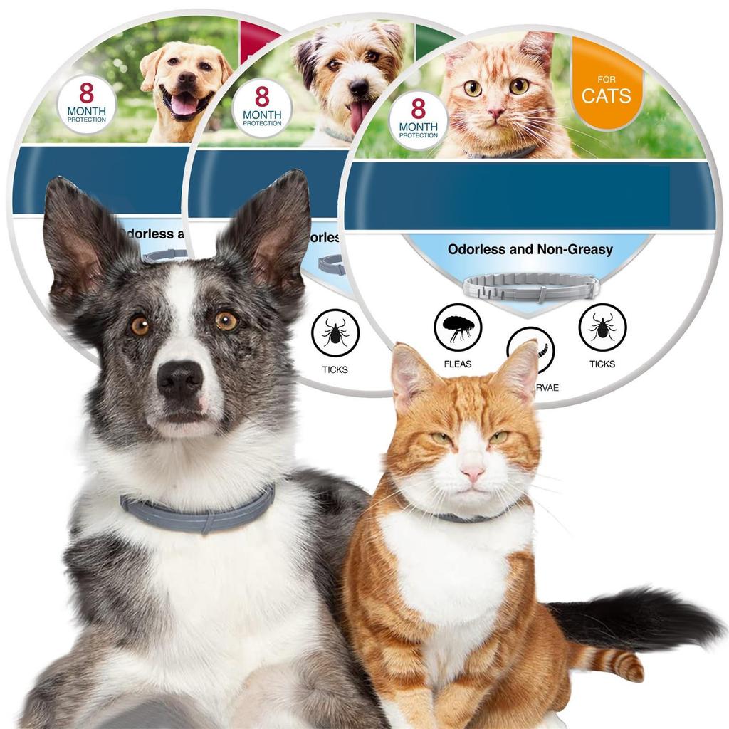 A Nt I Chip A Nt I Chip Necklace, Ant I Chips And A Nt I Ticks For Dogs, 2 Necklaces