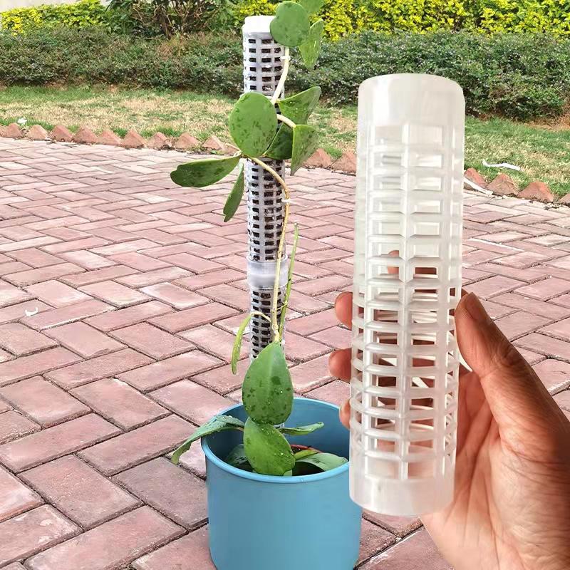 

Рама для лазанья по растению Решетка для растений Подпорка для сфагнума Подставка для выращивания растений Садовые принадлежности