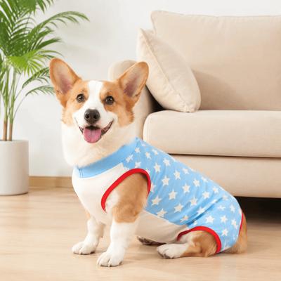 Honden – Hondenproducten