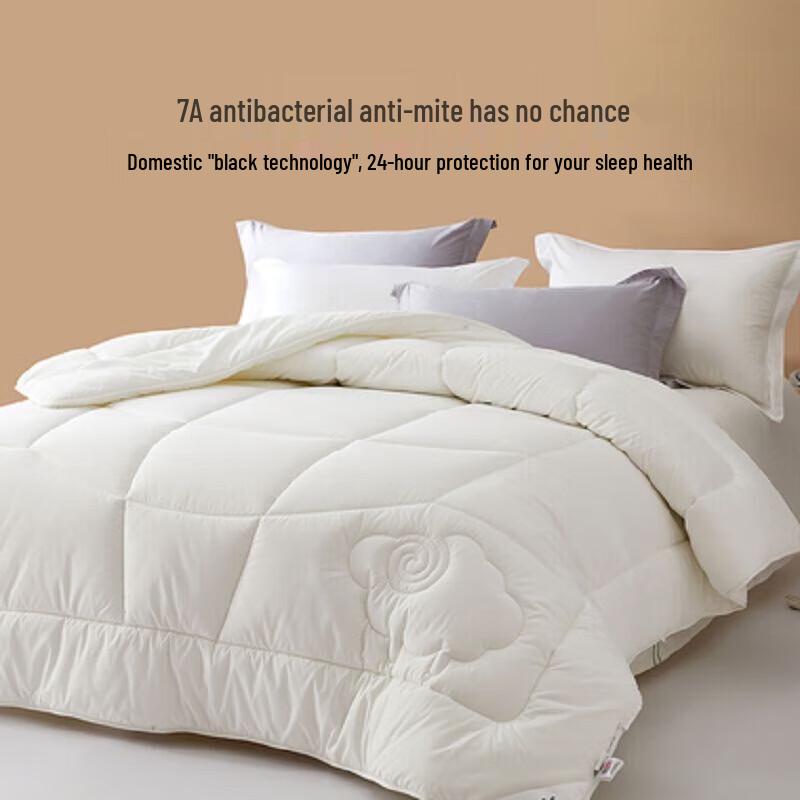 Mercury Home Textiles Xuxi All-Season Antibacterial Wool Quilt