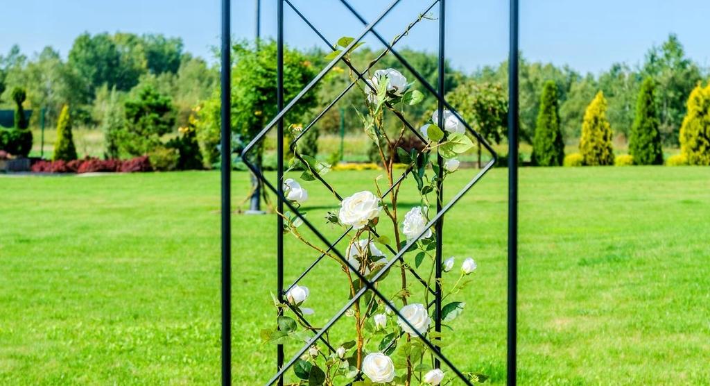 KADAX Pergolă de grădină metalică Arc pentru trandafiri cățărători Flori Suport pentru flori 255cm