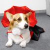 Halloweenský plášť pro mazlíčky Nastavitelný psí kočičí křídla netopýra Plášť Kostým Strašidelná Halloweenská párty Cosplay Oblečení pro kotě Štěně Oblečení Oblečení Potřeby pro mazlíčky