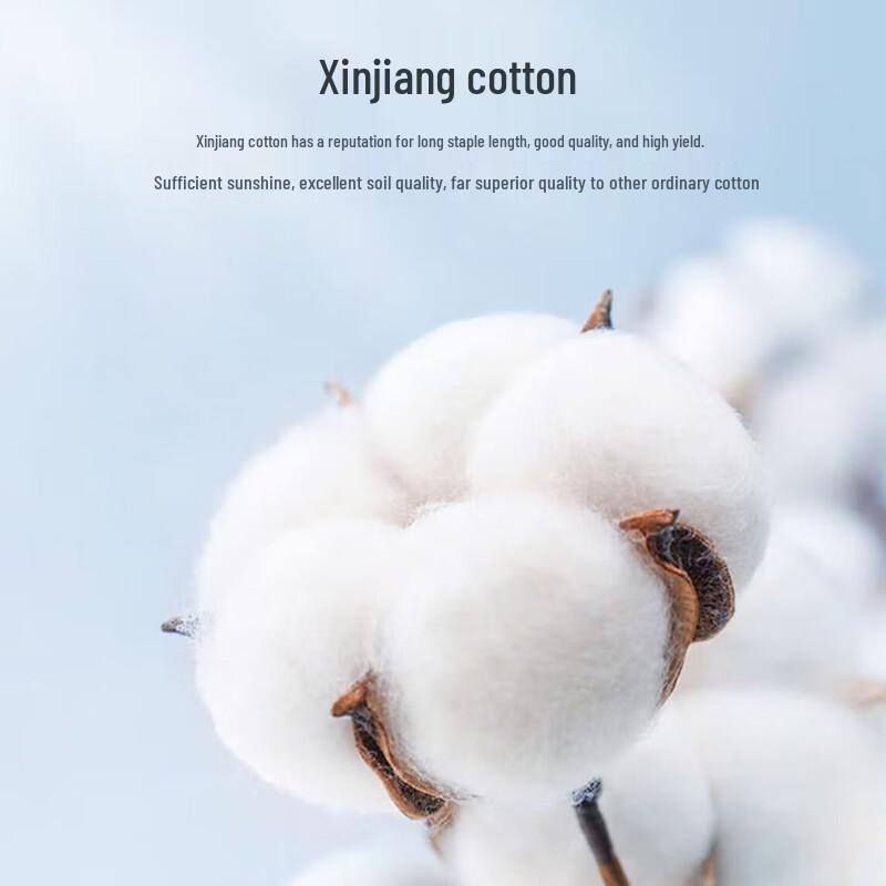 Fang'en All-Season Cotton Quilt