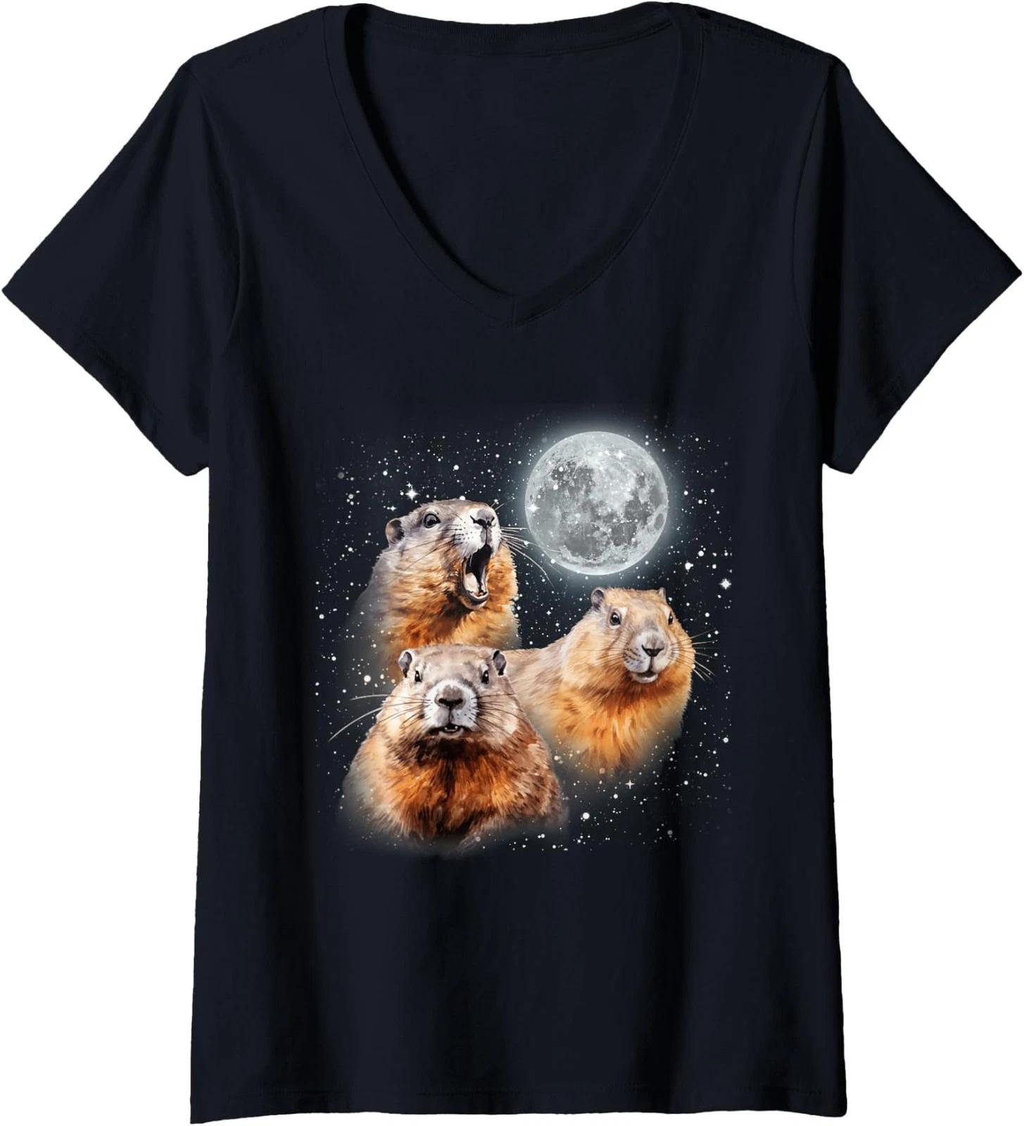 Funny 67 Christmas 67 Christmas Lights 67 Seven Ladies  V-Neck Tshirt 4XL