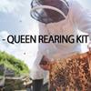 Hands Release LED Headlamps Magnifier for Beekeeping High Clear Lens for Insect Observation and Queen Rearing