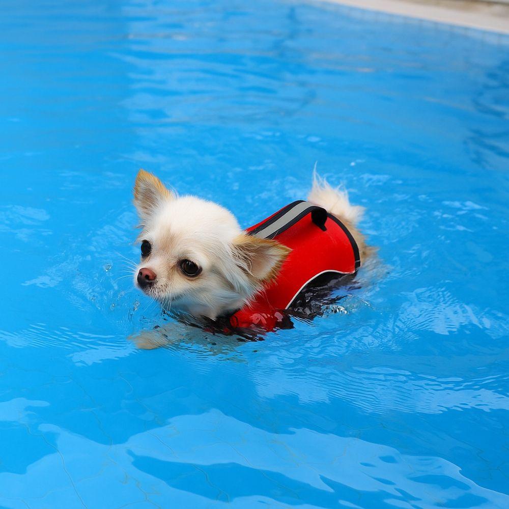 High Flotation Pet Swimming Jacket Adjustable Dog Swimming Vest Pet Supplies Dog Life Jacket  Beach