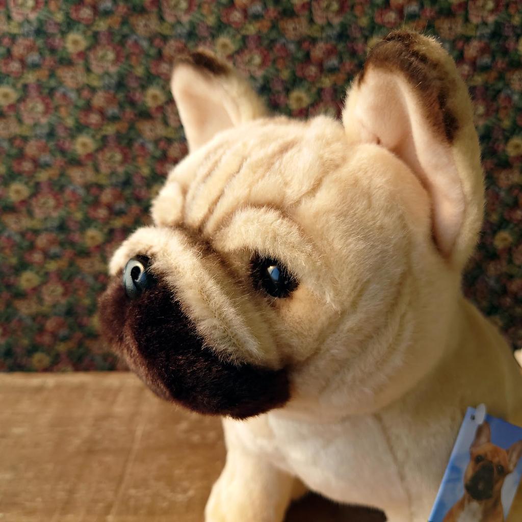 Realistic stuffed dog French Bulldog