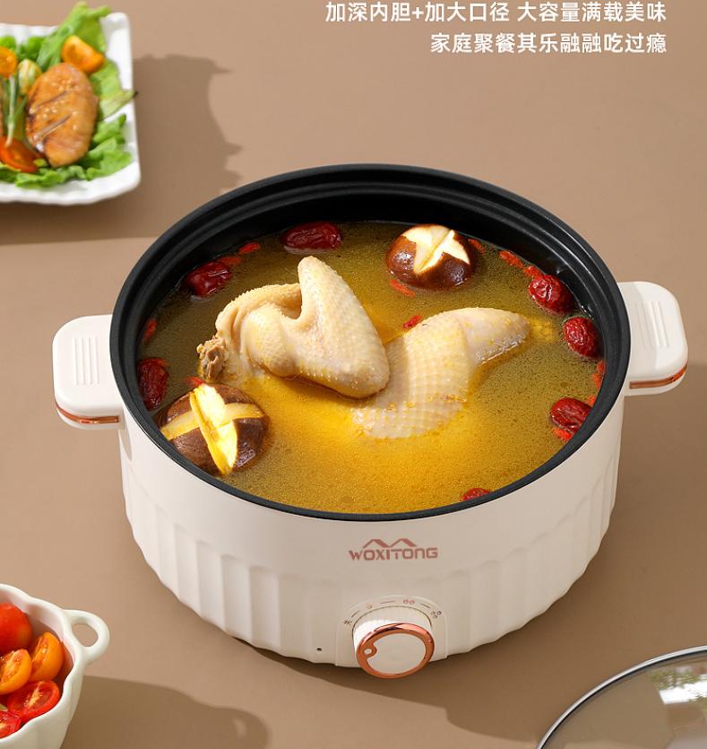 Multifunction Electric Cooker Dormitory Cooker Household for Hot Pot Cooking and Frying and Double Layer Soup Heater Pot Fry Pot