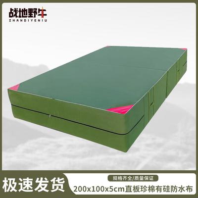 Battlefield Bison Gymnastics & Training Mat