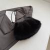 Furry Bag Women's 2025 Autumn New Fashion Simple Furry Shoulder Bag Texture Women's Portable Tote Bag