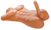 PET - Realistic Male Torso with Penis and Anal Hole