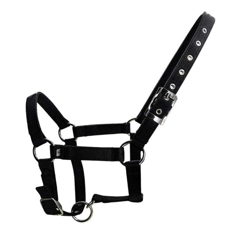 Adjustable Horse Halter with PP Webbing Thicken Horse Bridle Head Collar Equestrian Equipment For Training And Riding