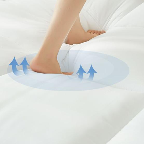 WTEMPO Zimní Zesílená Teplá Matrace z Jehněčí Vlny Domů Jednobarevná Tatami Plyšový Polštář Ložnice Ubytovna Hotel Jednolůžková a Dvojlůžková Pro Osoby Polstrované Prošívané Přikrývky