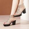 Summer sandals women's 2025 new rhinestone hollow fashion women's sandals fish mouth non-slip versatile high-heeled Roman sandals