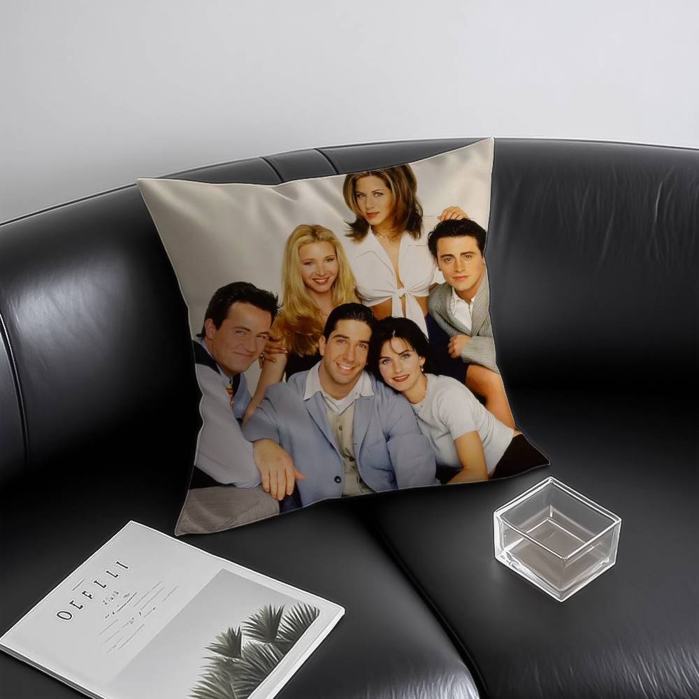 

Anime F-Friends Pillow Case Anti-dustmite Invisible zipper Sofa Bed 12x12Inch