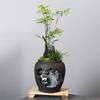 Retro Creative New Chinese Style Succulent Flowerpot Resin Landscape Decoration Desktop Indoor Balcony Potted Plant