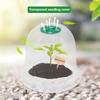 Plant Reusable Plant Propagation Cover Transparent Cloche Frost Protection Snail Protection