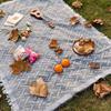 Moisture-Proof Outdoor Cotton Picnic Blanket for Camping & RV Travel