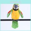Premium Electronic Pets Talking Parrot Plush Toy For Kids With Funny Sounds And Records
