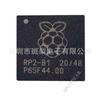 RP2040 Official Raspberry Pi Pico Control Chip