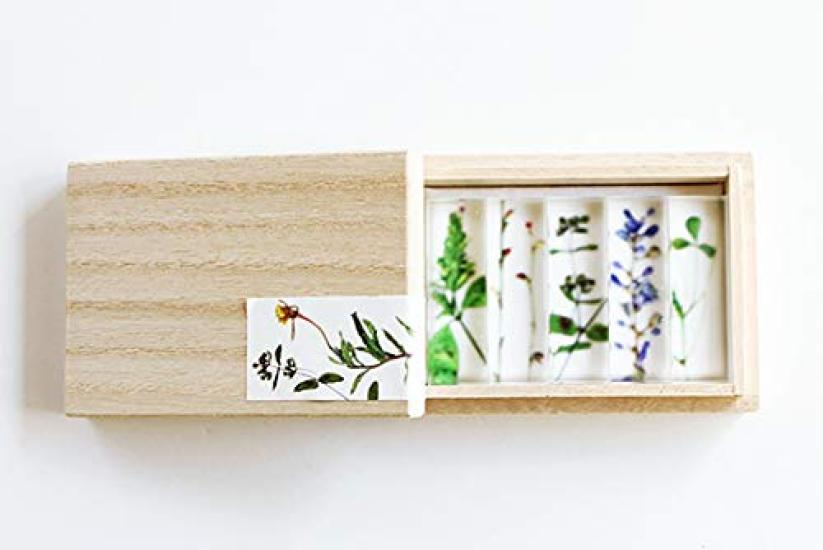 Toumei Chopstick Rest Set of in Wooden Box D, 5,