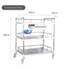 Stainless Steel Mobile Instrument Cart for Beauty Salon and Oral Care