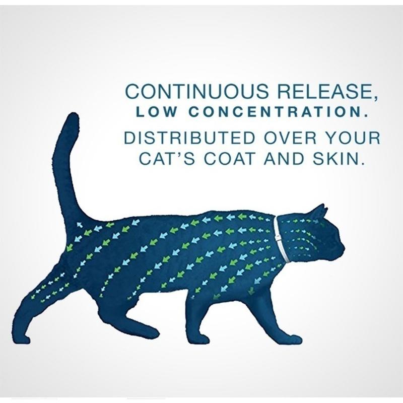 Mosquito Insect Repellent Dog Collar Cat Teddy Dogs Preventing Flea