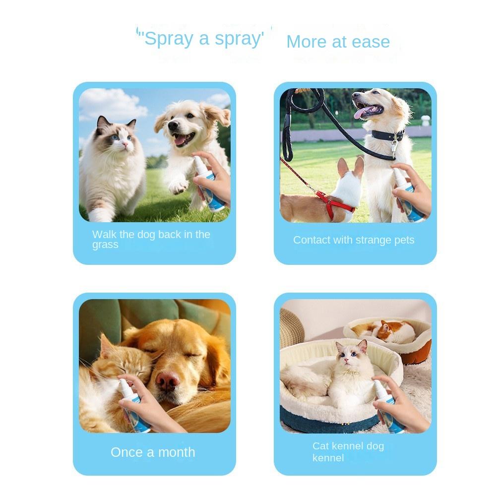 Pet Flea and Tick Spray for Cats and Dogs, Natural Essential Oil Formula, Effective Outdoor Parasite Repellent, Pet Safe, 500ml
