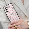 Cute American Shorthair Kitten Cell Phone Case for Samsung Galaxy S26 Ultra S25 S24 S23 S22 S21 S20 Note10 Cover