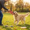 Pull Ring Bite Resistant Dual Handle Dog Puzzle Sound Pet Chew Plastic Squeaky Dog Outdoor Play
