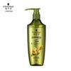 Schwarzkopf Ginger Essence Oil Control Shampoo