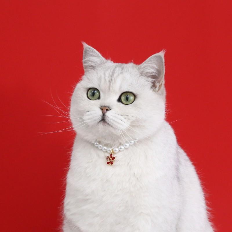 Floral Pet Necklace With Pearl Zircon Accents Cats Small Dogs - Birthday Wedding Party Accessory