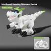 Intelligent induction remote control dinosaur model electric robot scientific and educational toy