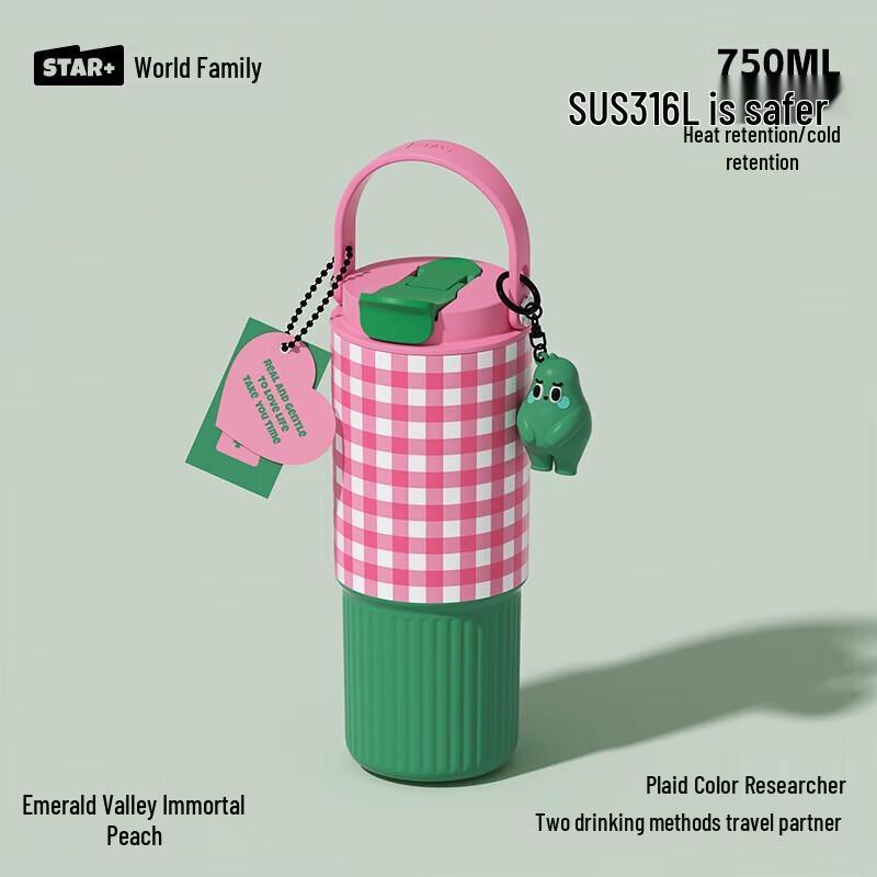 Shi Da Jia Insulated Stainless Steel Water Bottle with Straw