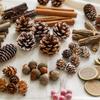 Natural Pine Cones, Logs, and Dried Fruits - Christmas Atmosphere Decoration Supplies