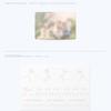 Bts   Love Yourself    Her    Mini Album Vol.5