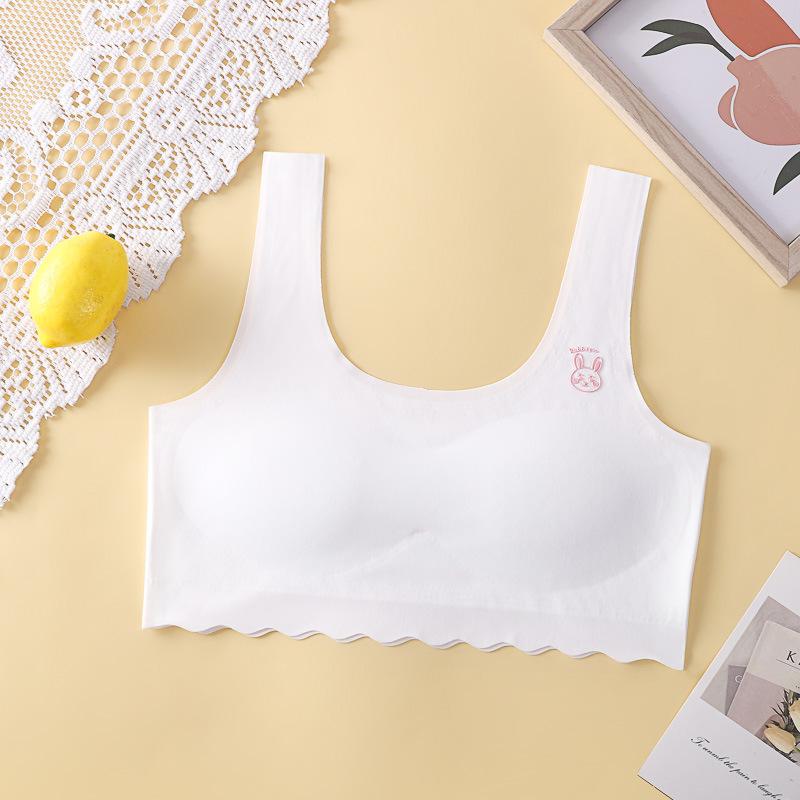 

Противоударный спортивный жилет и бюстгальтер для девочек - Удобный, дышащий, бесшовный дизайн для студенток L белый