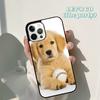 Autumu Golden Retriever Dog Cute Puppy Phone Case Cover for iPhone 17 Air 16 16e 15 12 11 13 14 Pro Max Plus Coque