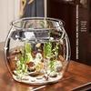 Durable Clear Plastic Goldfish Tank - Unbreakable, One-Piece Round Design for Living Rooms