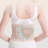 Back Brace for Men & Women, Back Support Belt for Lower Back Pain Relief, Adjustable Lumbar Support Waist Brace for Sciatica, Scoliosis, Herniated