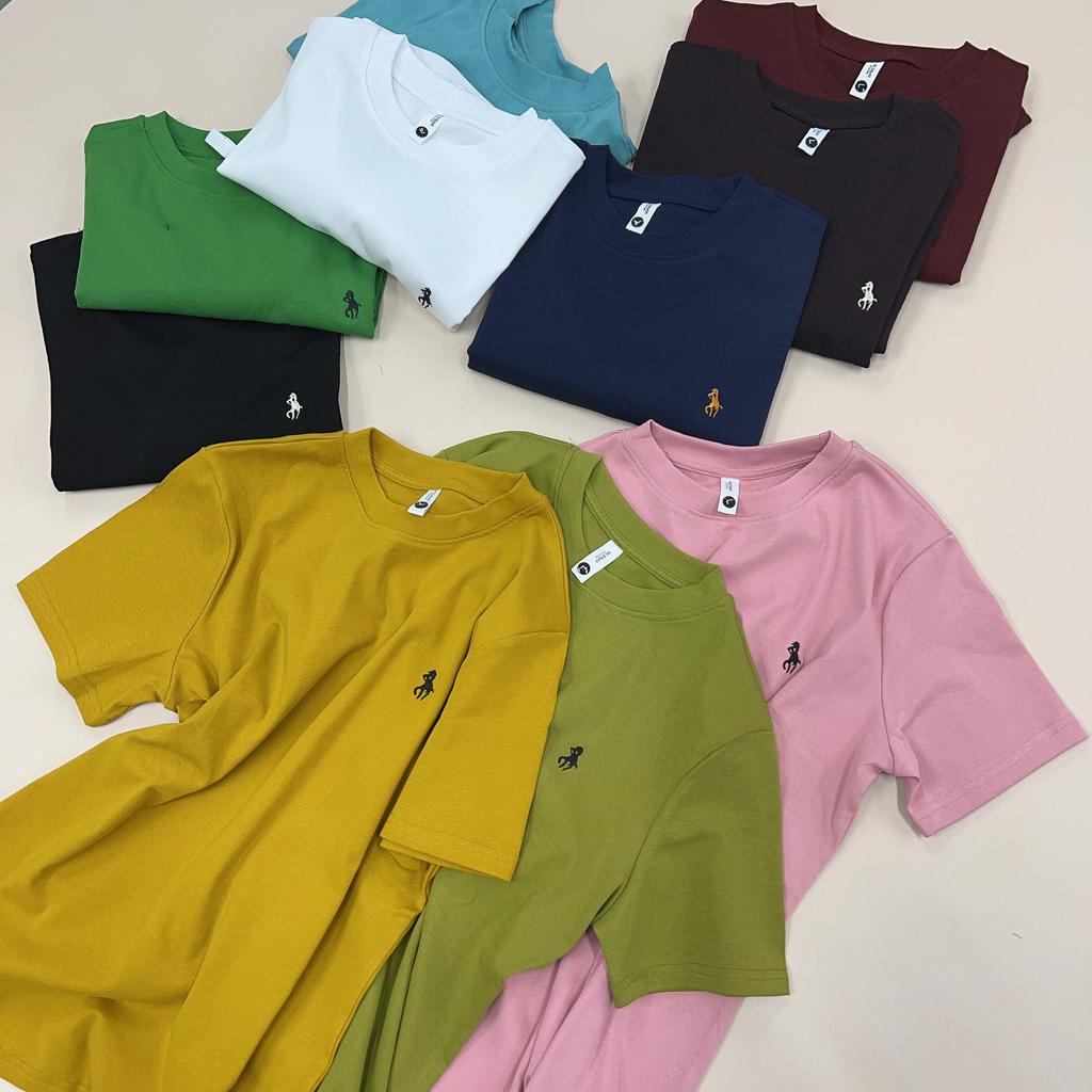 Women's Spring 2025 Embroidered Round Neck Slim Short Sleeve Top