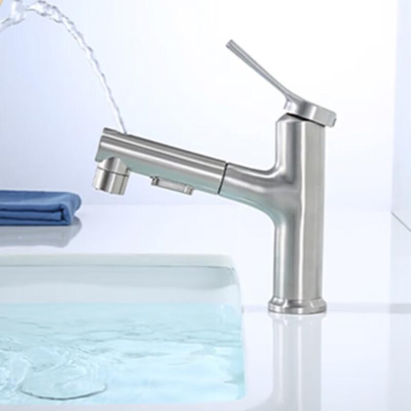 TLXT Brushed Stainless Steel Pull-Out Basin Faucet