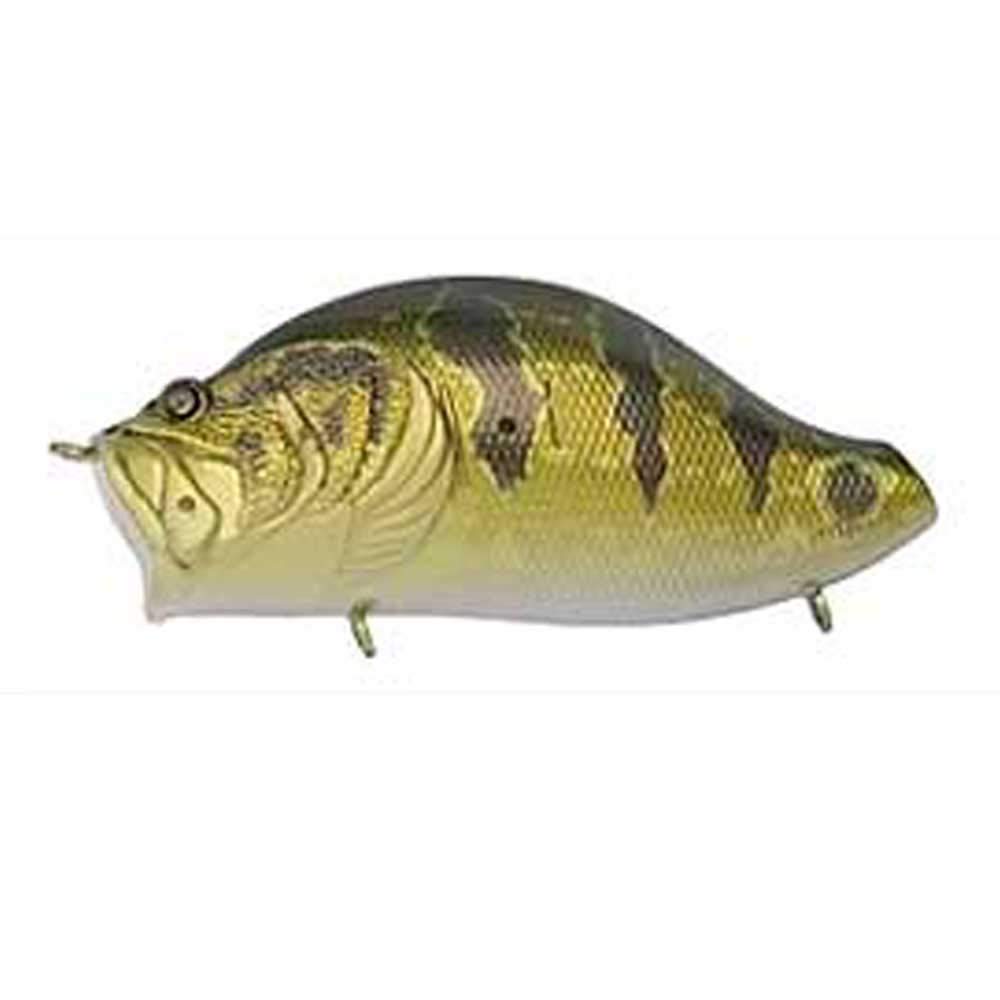 

Adusta Zack Roll YB Golden Peacock Bass (Yajirobee) #012