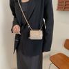 Trendy Quilted Chain Mini Shoulder Bag For Women Fashion Streetwear Chic