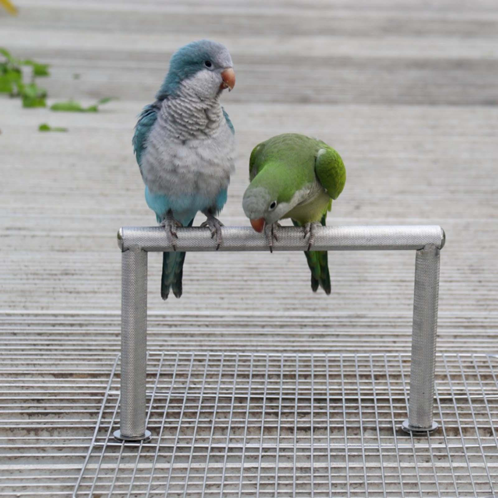 

Подставка для птичьего попугая, подставка из нержавеющей стали, игровые площадки на платформе для кореллы ара Style A