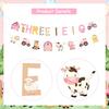 Cheereveal Pink Farm 3rd Birthday Decorations, THREE I E I O Farm Animals Banner, Farmhouse Barnyard Bunting Hanging Garland for THREE Year Old Bday