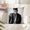 Band J-JONAS B-BROTHERS Pillow Case Square Pillow Cushion Cover Bedroom Sofa Room Decoration Casual Pillow Cover