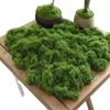Woolen Landscape Wall with Simulated Moss and Rockery Stones for Gardens and Tanks